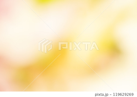 イエロー系お花畑のイメージ　(写真素材) 119629269
