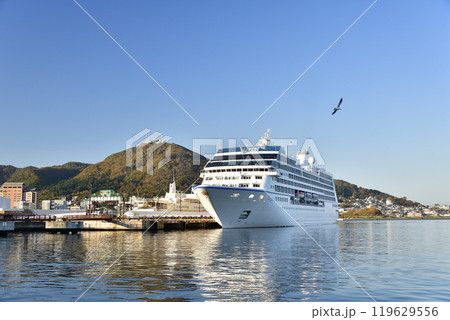 秋の北海道函館市で函館港に寄港するクルーズ船レガッタ号の風景を撮影 119629556