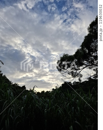 景色 風景 自然 119630032