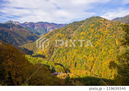 上高地乗鞍スーパー林道より望む白骨温泉(泡の湯旅館)の紅葉 119630340