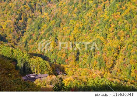 上高地乗鞍スーパー林道より望む白骨温泉(泡の湯旅館)の紅葉 上高地乗鞍スーパー林道より望む白骨温泉(泡の湯旅館)の紅葉 119630341