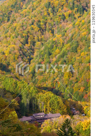 上高地乗鞍スーパー林道より望む白骨温泉(泡の湯旅館)の紅葉 119630345