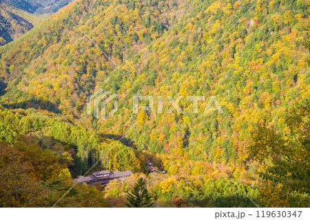 上高地乗鞍スーパー林道より望む白骨温泉(泡の湯旅館)の紅葉 上高地乗鞍スーパー林道より望む白骨温泉(泡の湯旅館)の紅葉 119630347