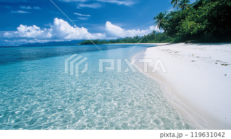 青空と白い砂浜の美しいビーチ 119631042