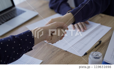 Accountants or auditors shaking hands after reviewing financial Accountants or auditors shaking hands after reviewing financial 119631698