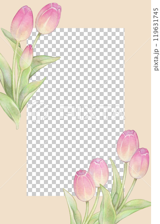 春天粉紅鬱金香明信片模板 119631745