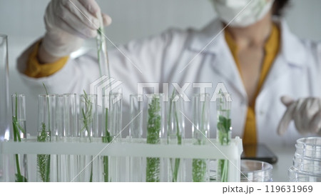 Unknown scientist wearing a lab coat, white gloves and protective face mask, is holding a test tube with plants inside, close up. Science and medicine concepts Unknown scientist wearing a lab coat, white gloves and protective face mask, is holding a test tube with plants inside, close up. Science and medicine concepts 119631969