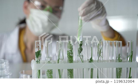 Woman scientist and researcher, wearing a lab coat, green protective gloves and face mask holding a test tube with plants inside, close up. Science concepts Woman scientist and researcher, wearing a lab coat, green protective gloves and face mask holding a test tube with plants inside, close up. Science concepts 119632004