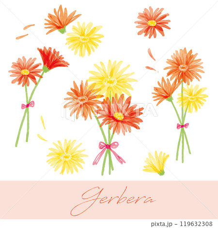 ガーベラの手書き水彩画イラスト4 119632308