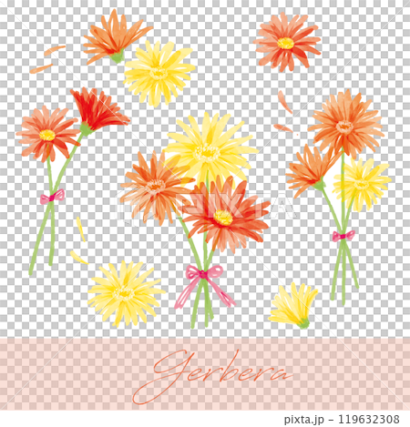 非洲菊手寫水彩插圖 4 119632308