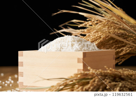 升に盛ったお米 119632561