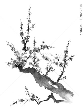 水墨画 掛軸 梅の木 春の景色 梅の木の水墨画のイラスト素材 [119632870] - PIXTA