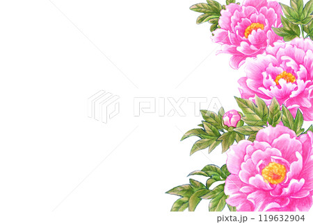 牡丹の花の手描き素材はがきテンプレート　和風・中華風 119632904