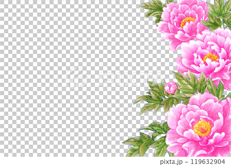 Peony flower hand-drawn material postcard template Japanese and Chinese style 119632904