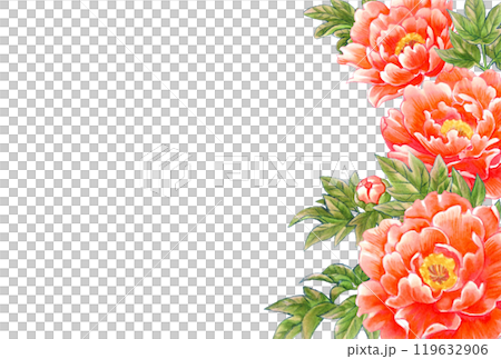 Peony flower hand-drawn material postcard template Japanese and Chinese style 119632906