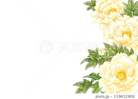 牡丹の花の手描き素材はがきテンプレート 和風・中華風 牡丹の花の手描き素材はがきテンプレート 和風・中華風 119632908