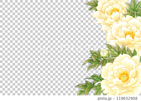 牡丹の花の手描き素材はがきテンプレート 和風・中華風 牡丹の花の手描き素材はがきテンプレート 和風・中華風 119632908