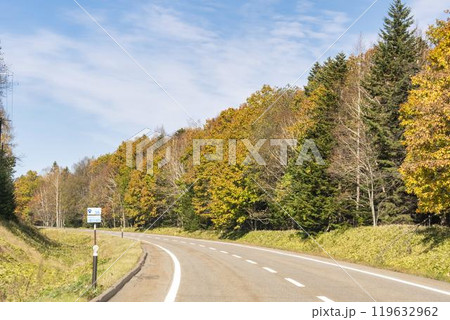 秋の道道273号線からみた紅葉の風景 北海道上士幌町 秋の道道273号線からみた紅葉の風景 北海道上士幌町 119632962