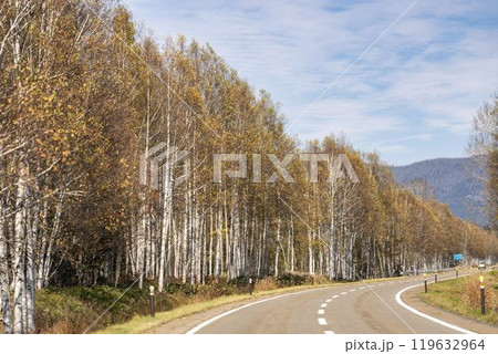 秋の国道273号線からみた紅葉の風景 北海道上士幌町 秋の国道273号線からみた紅葉の風景 北海道上士幌町 119632964