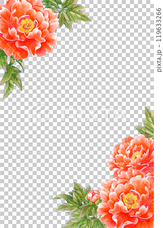 牡丹花手繪素材明信片模板日式/中式 119633266