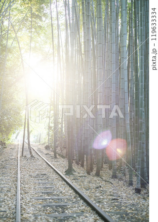 木漏れ日で輝く倉吉線 119633334