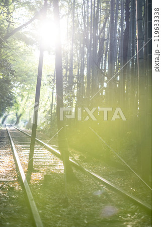 木漏れ日で輝く倉吉線 木漏れ日で輝く倉吉線 119633338