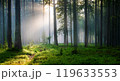霧に包まれた森林 119633553