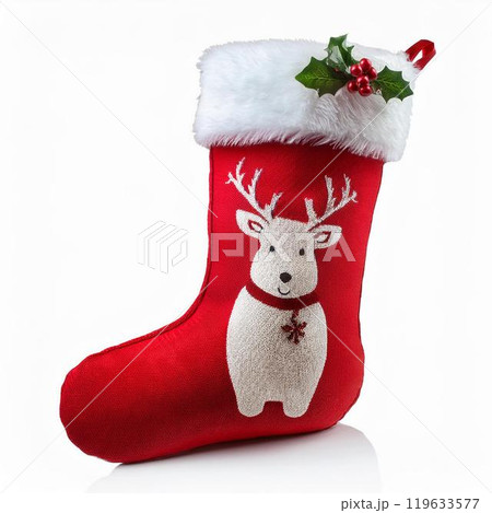 クリスマスの靴下 119633577