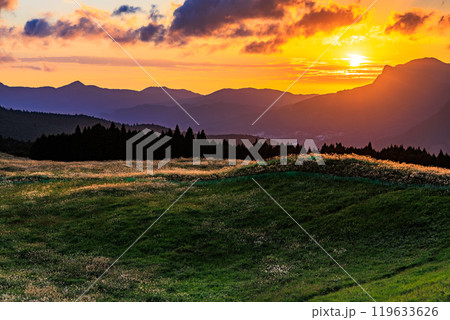 2024年中秋 黄金色に染まる空と高原のすすき 奈良県曽爾村曽爾高原にて➂ 2024年中秋 黄金色に染まる空と高原のすすき 奈良県曽爾村曽爾高原にて➂ 119633626