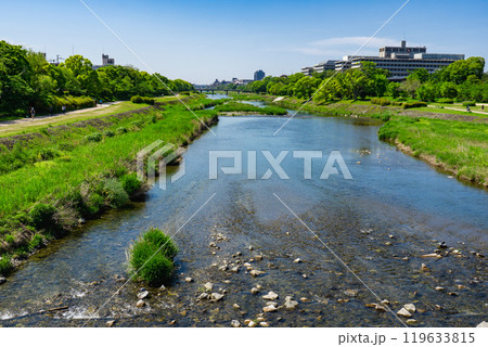 京都市上京区　賀茂大橋から見る　鴨川の風景 119633815
