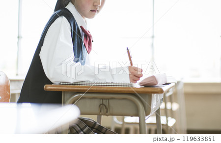 教室で勉強するポニーテールの女子中学生 119633851