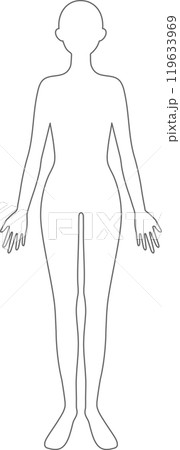 人体　線画　女性 119633969
