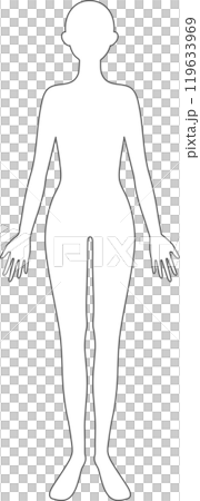 人体　線画　女性 119633969