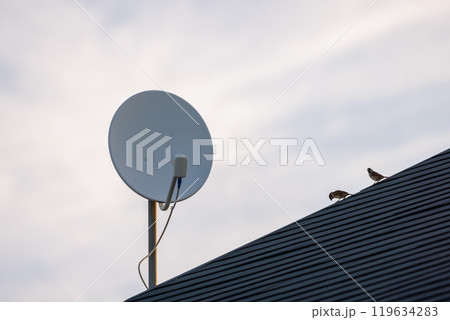 衛星放送受信アンテナのある屋根に止まる2羽のスズメ 119634283