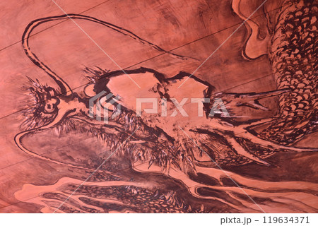 大徳寺塔頭　龍源院　開祖堂　天井画の赤龍 119634371