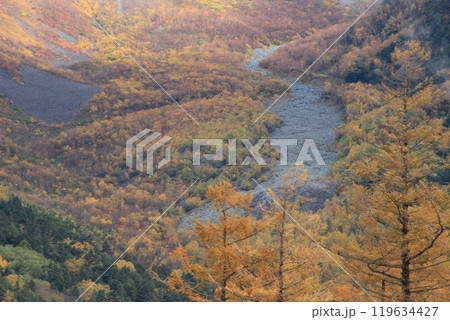 上高地　霧かかる紅葉の山肌　秋風景 119634427