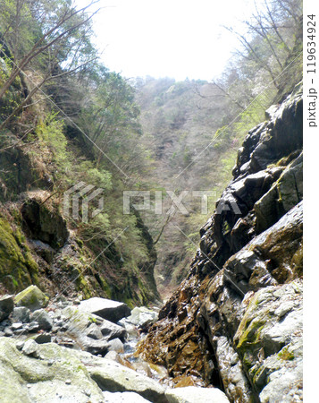 雨棚前衛の4mの滝を登って下流側のゴルジュを見る 119634924