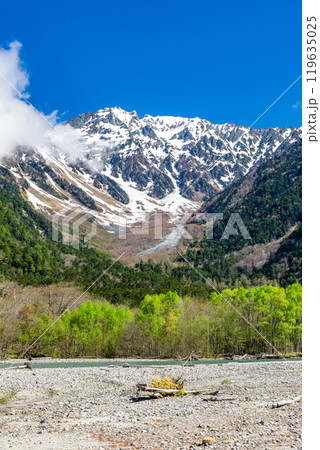 初夏の北アルプス登山　上高地から梓川左岸道を歩く　小梨平から見上げる奥穂高岳 119635025