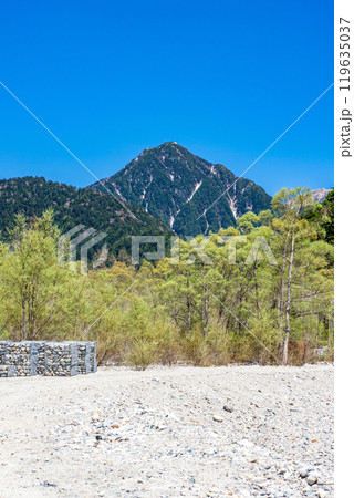 初夏の北アルプス登山 上高地から梓川左岸道を歩く 中山 初夏の北アルプス登山 上高地から梓川左岸道を歩く 中山 119635037