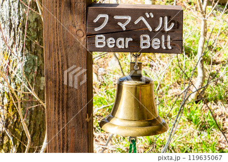 初夏の北アルプス登山 上高地から梓川左岸道を歩く 熊ベル 初夏の北アルプス登山 上高地から梓川左岸道を歩く 熊ベル 119635067