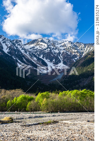 初夏の北アルプス登山 上高地から梓川左岸道を歩く 小梨平から見上げる奥穂高岳 初夏の北アルプス登山 上高地から梓川左岸道を歩く 小梨平から見上げる奥穂高岳 119635274