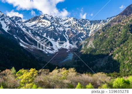 初夏の北アルプス登山　上高地から梓川左岸道を歩く　小梨平から見上げる奥穂高岳 119635278