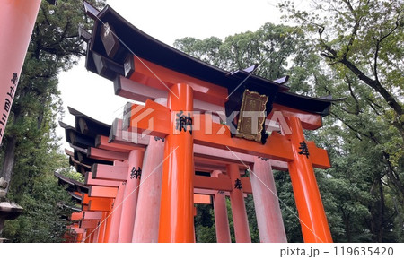 鳥居のある風景 119635420