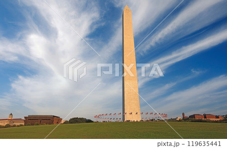 Washington Monument with American flags waving around and green grass on the foreground, District of Columbia, USA 119635441