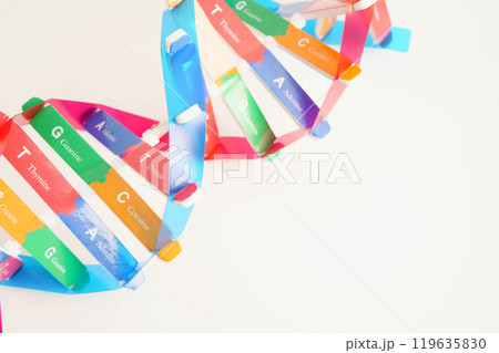 DNA molecule spiral structure model isolated on white background, chromosome and gene chemical science biology. DNA molecule spiral structure model isolated on white background, chromosome and gene chemical science biology. 119635830
