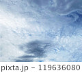 中央下部何に見える？ 119636080