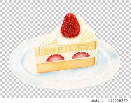 Watercolor shortcake 119636879