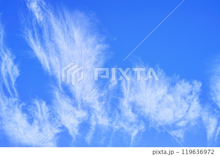 青空と雲イメージ 青空と雲イメージ 119636972