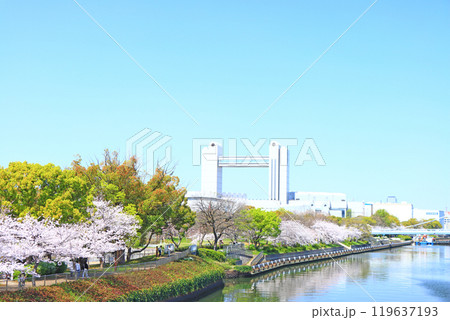春の愛知県名古屋市、満開の桜と名古屋国際会議場の風景 春の愛知県名古屋市、満開の桜と名古屋国際会議場の風景 119637193