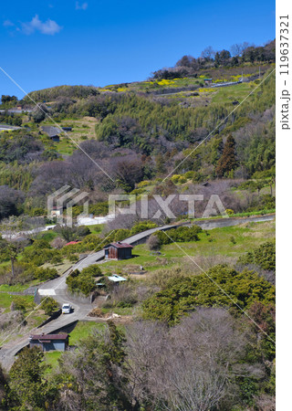 【神奈川県】曽我谷津地区の風景 119637321